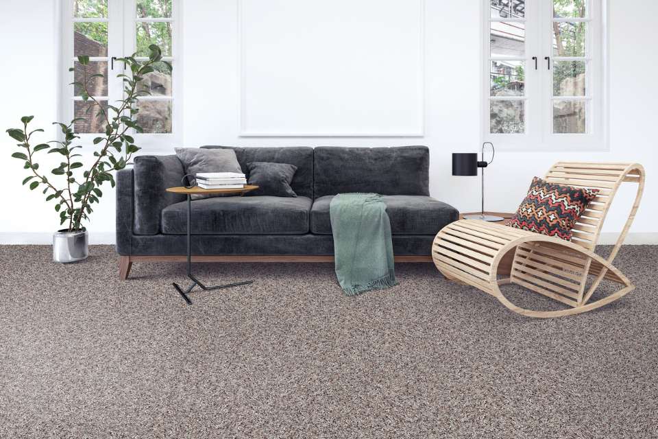 grey shag carpet in living room with wicker chair and large plant